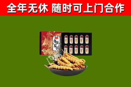 普兰县回收冬虫夏草价格
